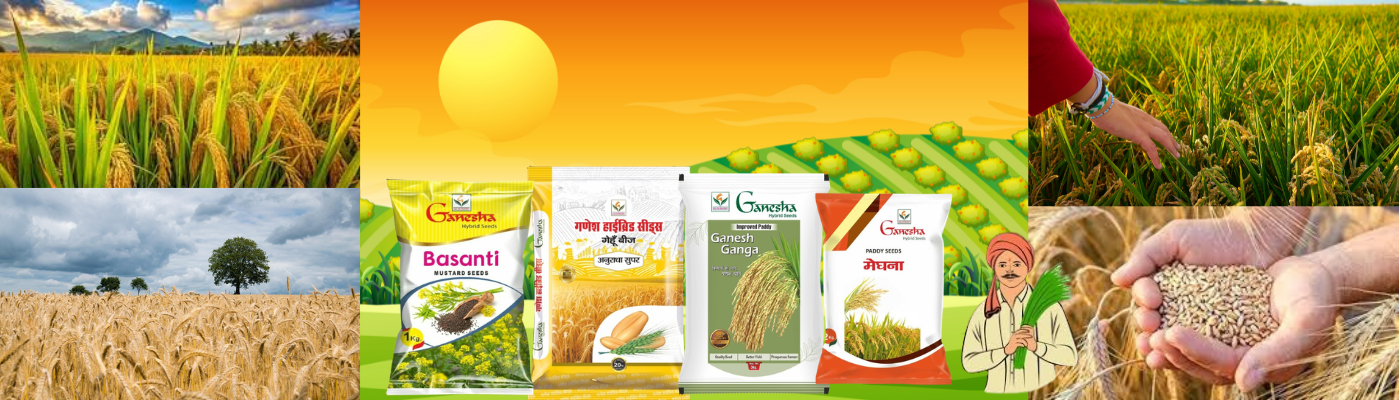 Ganesha Hybrid Seeds